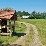 Am Gruenen * Myšyn