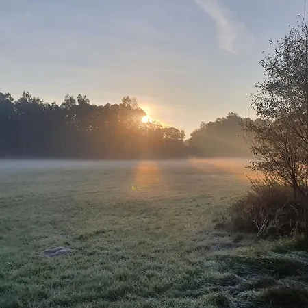 Am Gruenen Apartamento