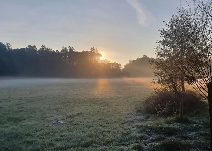 Am Gruenen Apartament